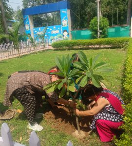 WhatsApp Image 2026-03-20 at 15.29.06